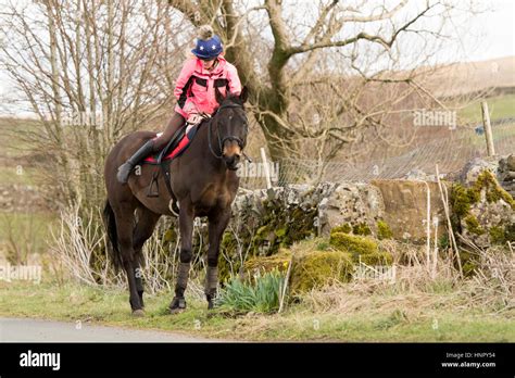 Rider Mounting Horse Hi Res Stock Photography And Images Alamy