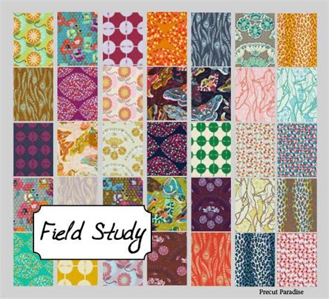 Field Study By Anna Marie Horner Quilt Patterns Quilt Fabric Fabric