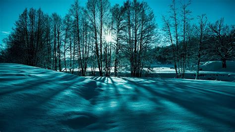 Fantastic Winter Scenery Wallpaper 1920x1080 27068