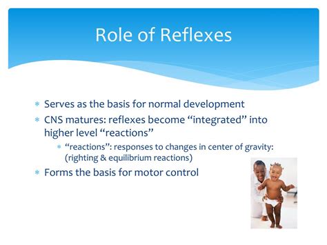 Ppt Reflexes Powerpoint Presentation Free Download Id5241632