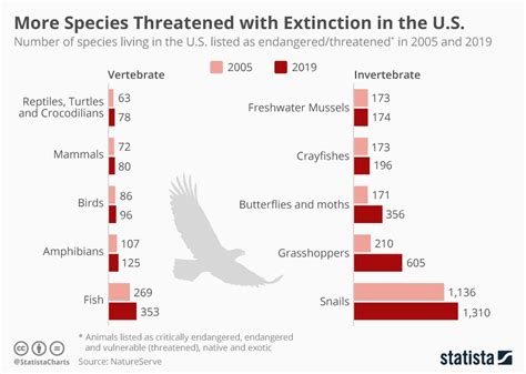 How Will The 2019 Changes To The Endangered Species Act Impact Wildlife