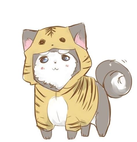 Cats Anime Amino