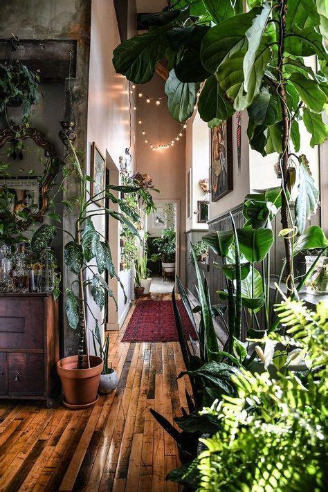 Beautiful Hallway Filled With Large Plants To Make Your Home Cozy