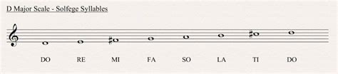 D Major Scale All About Music