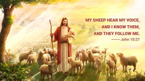John 1027 Verse Meaning Gods Sheep Hear Gods Voice