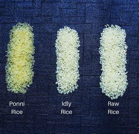 9 Most Popular Types Of Rice In India A Comprehensive Guide