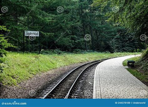 Eisenbahnlinie Im Waldbild Von Rugen Nord Deutschland Europa Stockfoto