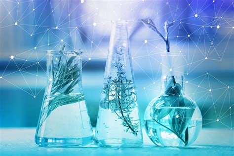 Over the past two decades, terms like the human genome project, dna, and genetic yet, when mendel was conducting his experiments, the discipline of biotechnology, as we know it today, wasn't. Blue Biotechnology Market Global Industry Analysis ...