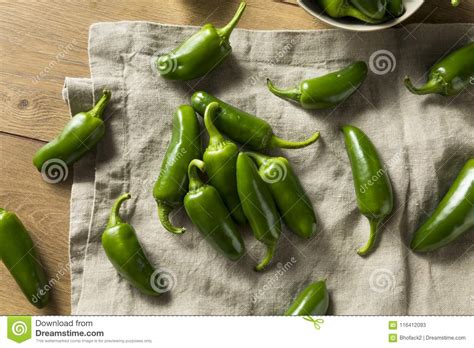 Raw Green Organic Jalapeno Peppers Stock Image Image Of Heat