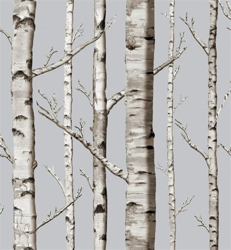 10 Excellent Sources For Buying Birch Tree Wallpaper Birch Tree