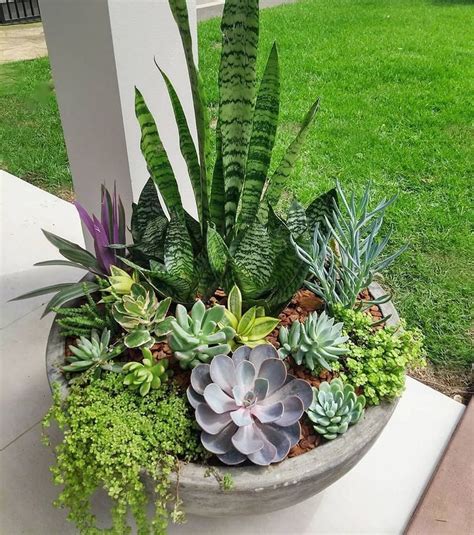 20 Outdoor Succulent Garden Ideas
