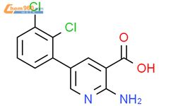 Amino Dichlorophenyl Pyridine Carboxylic Acid