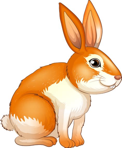 Download lapin dessin stock vectors. Lapin png, dessin, tube - Bunny drawing, rabbit png