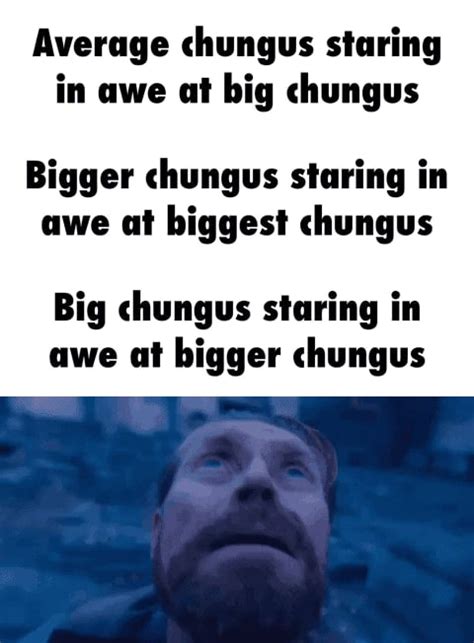Average Chungus Staring In Awe At Big Chungus Bigger Chungus Staring In