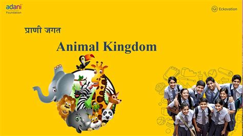 Animal Kingdom Part 4 | Class 11 Biology | Hindi Medium - YouTube