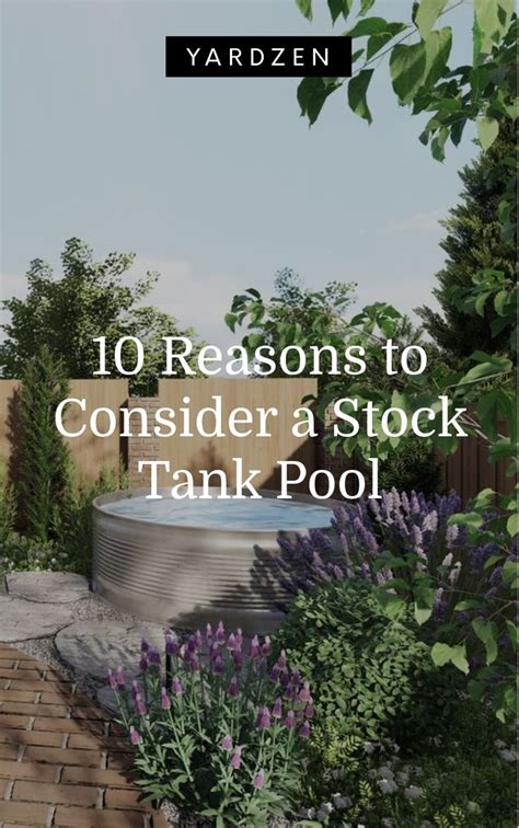 Swim Ideas Tank Pool Stock Tank Pool Stock Tank Hot Sex Picture