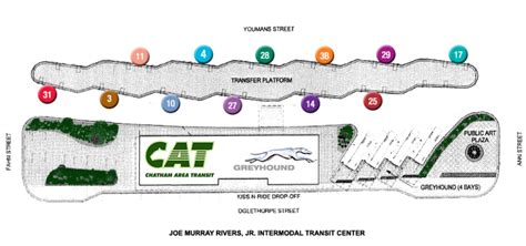 Cat Services Chatham Area Transit Cat