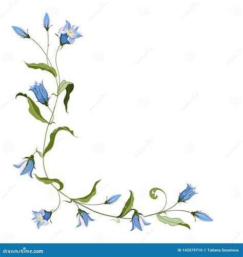 Corner Composition Of Hand Drawn Blue Bell Flower For Design Stock