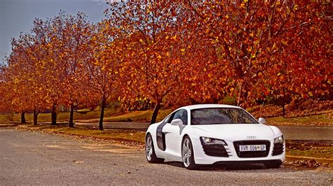 10 Pictures Of Audis That Will Get You Into The Fall Spirit Audiworld