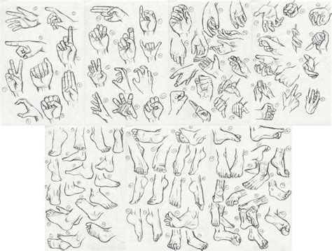 50 Hands And 50 Feet Challenge By Iisjah On Deviantart How To Draw