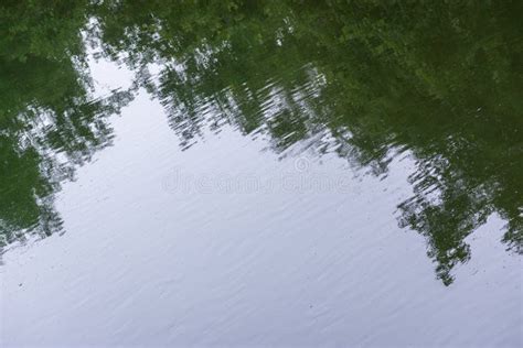 The Reflection Of Trees In The Water Stock Photo Image Of Outside