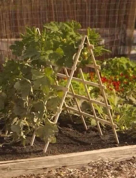 Trellis Idea In 2020 Vertical Vegetable Gardens Small Vegetable
