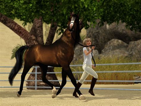 Sims 3 Horse Mods Truefup