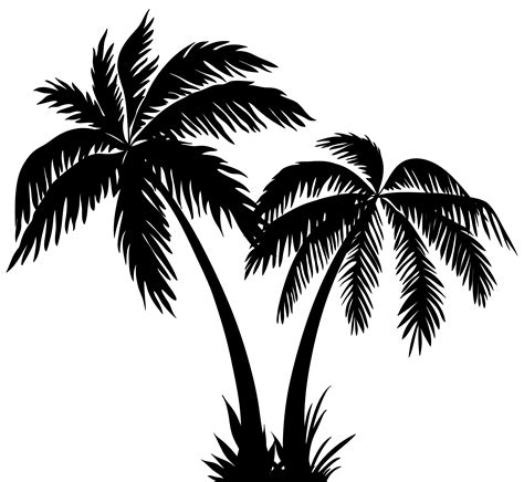 Palm leaf print, black and white photography, abstract tropical leaf, summer art, tropical palm leaves, 8 x 10 inches, unframed. Palms clipart 20 free Cliparts | Download images on Clipground 2020