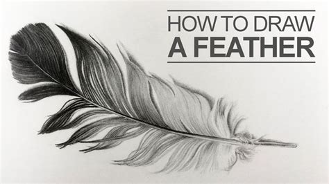 Learn How To Draw A Feather In This Lesson Use Shape Line And Value