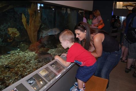 New Hampshires Seacoast Science Center Is The Perfect Summer