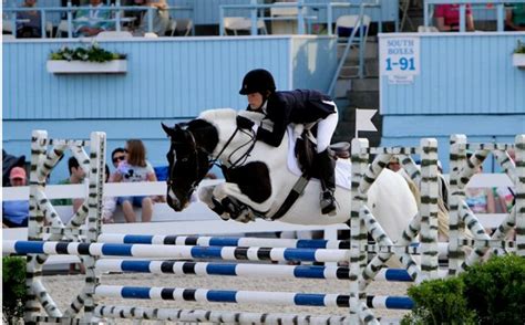 Show World Pony Jumper