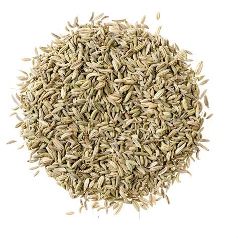 Try something new to your dishes. Fennel Seed Whole | Bulk Fennel Seed