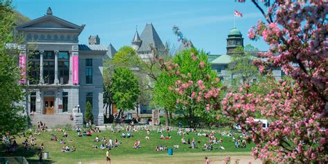 Why Montreal is the top destination in North America to be a student ...