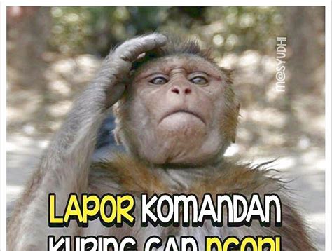 Lihat ide lainnya tentang gambar orang, orang, gambar. Menakjubkan 30+ Gambar Dp Lucu Ngopi Dulu - Ngantuk