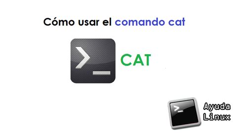 Cómo Usar El Comando Cat