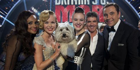 David Walliams To Voice Britains Got Talent Dog In Pudsey The Movie