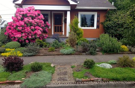15 Great Moss Gardening Ideas And Easy Moss Garden Guide