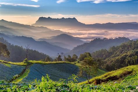 Premium Photo Landscape Of Sunrise On Mountain At Doi Luang Chiang