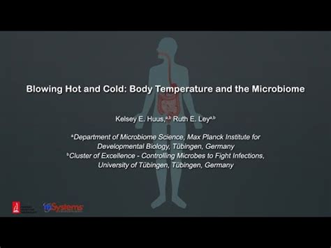 Blowing Hot And Cold Body Temperature And The Microbiome YouTube