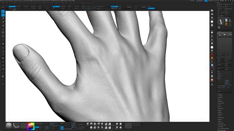 Female 3d Hand Model Asian 20 Years Old