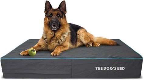 The 7 Best Odor Resistant Dog Beds Barkforce