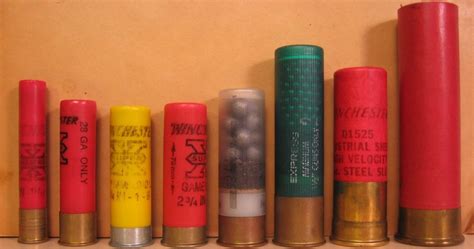 Shotgun Shell Buckshot Size Chart Can You Rank All 12 Gauge Shotgun