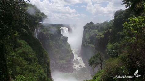 How To Investigate The Victoria Falls The Safari Source