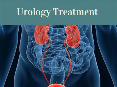 Ppt Urology Diseases Symptoms And Treatment Powerpoint Presentation