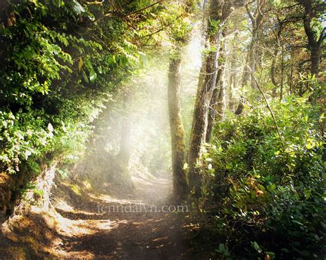 Create More Light Oregons Hobbit Trail A Real Enchanted