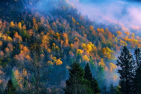 Fall In A Valley In West Norway Colors Trees Mist Scandinavia Hd