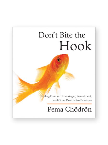 Dont Bite The Hook • Audio Cds