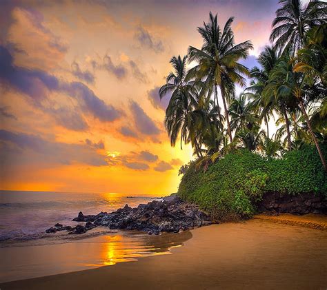 Tropical Paradise Sunset Hd Wallpaper Peakpx
