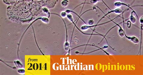 Our Sperm Donor System Is Impotent Time For A Rethink Fertility