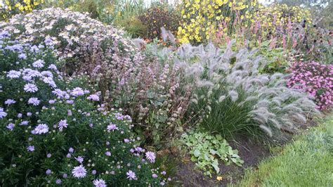 Bakker.com ist der größte, wenn es um den garten geht. Pin auf Garten